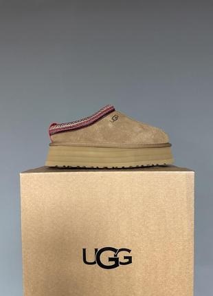 Зимові жіночі черевики ugg tazz platform chestnut