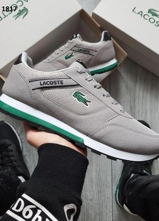 Мужские кроссовки lacoste (сірі)