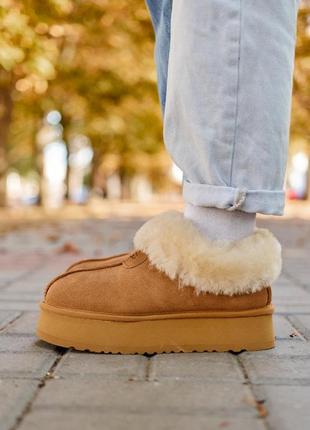 Зимние ботинки ugg coquette ultra mini platform chestnut fur2 фото