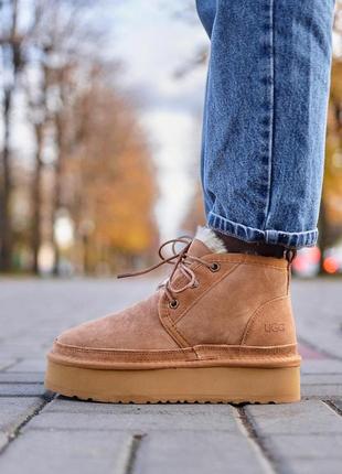 Зимние ботинки ugg neumel platform chestnut