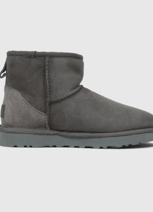 Зимові жіночі черевики ugg mini grey