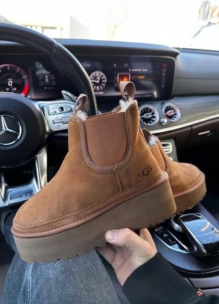 Зимние женские ботинки ugg neumel platform chealsea ginger premium