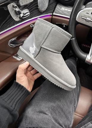 Зимові жіночі черевики ugg mini grey suede (лак.п'ята)