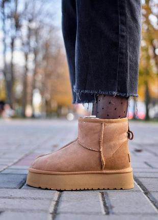 Зимові черевики ugg classic mini platform chestnut 39