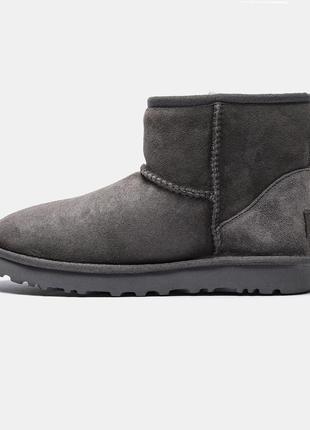 Оберіть стильні чоботи ugg ultra mini gray