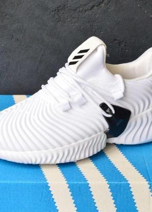 Кросівки adidas alphabounce instinct white