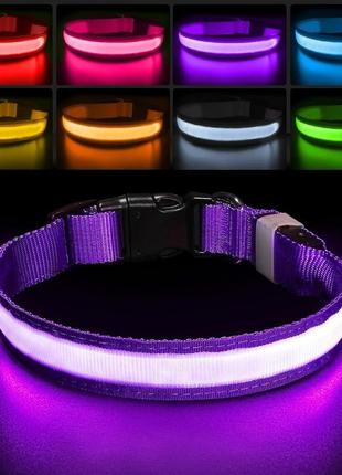 Pceotllar светящийся ошейник для ночной прогулки, фиолетовый, размер l - светодиодный ошейник для собак