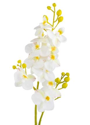 Орхідея "фаленопсис", біла, 70 см