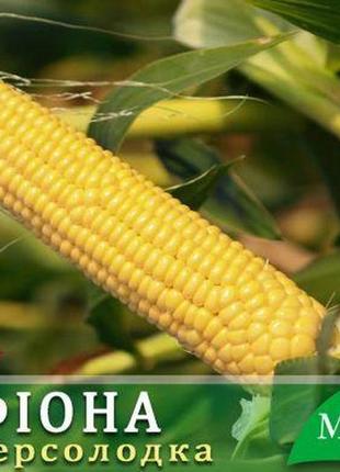 Цукрова кукурудза фіона f1, (20 000 насінин 30 соток)