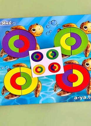 Сортер деревянный: ракушки - цвета. детская развивающая игра псд138