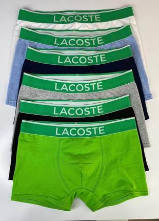 Набор мужских трусов lacoste modal u91 | 5 удобных боксерок лакост в подарочной упаковке