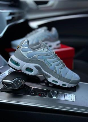 Мужские летние кроссовки nike air max plus silver sky1 фото