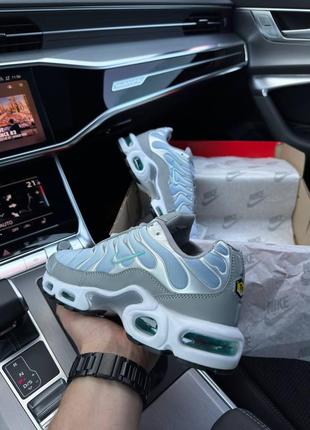 Мужские летние кроссовки nike air max plus silver sky6 фото