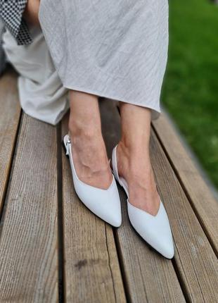 Слінгбеки в кольорах