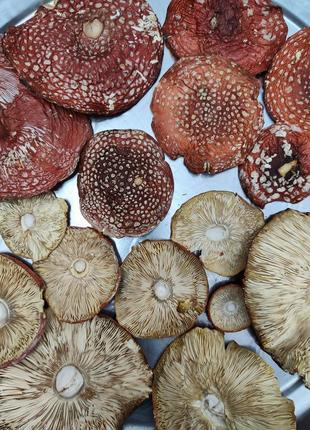 Продам грибы сушеные amanita muscaria более высокий сорт, шапки отборные.