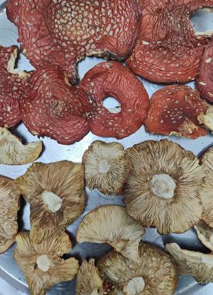 Продам гриби сушені amanita muscaria перший сорт, шапки відбірні.
