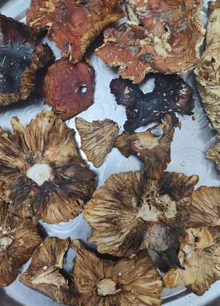 Продам грибы сушеные amanita muscaria третий сорт.