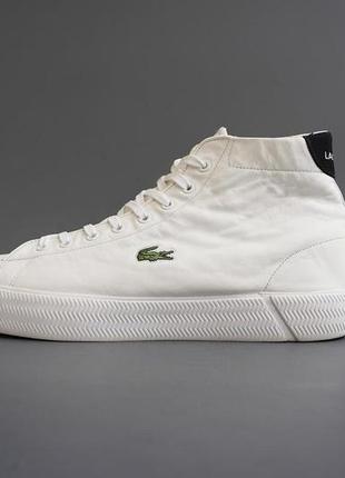 Кросівки шкіряні lacoste розмір 43-44