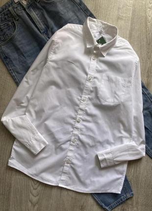 Базовая белая рубашка, сорочка, блузка, блуза, рубашка прямого кроя