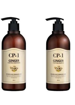 Шампунь с имбирем esthetic house ginger purifying shampoo 100 мл
