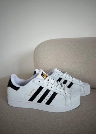 Женские кожаные кроссовки adidas superstar white black classic адидас суперстар