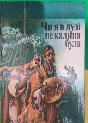 Чи я в лузі не калина була: українські народні алегоричні пісні книга вживана