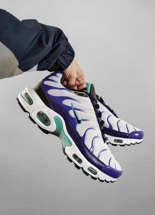 Nike air max plus tn grape кросівки