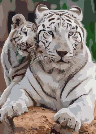 Картина за номерами "білі тигри"1 фото