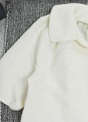 Нова кремова блуза з коміром dazy by asos6 фото