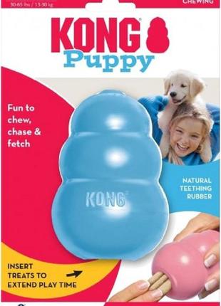 Іграшка для цуценят середніх та великих порід kong puppy груша-годівниця l 10.2x7x7 см блакитний (035585131115)