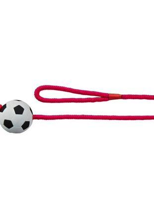 Іграшка для собак м'яч футбольний на мотузці trixie 3307 6x100 см (4011905033075) (bbx)