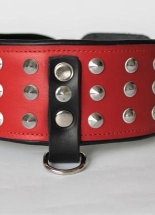 Кожаный ошейник для собак "lockdog" с маленькими шипами красный