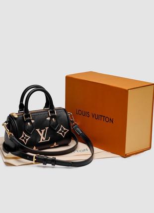 Louis vuitton speedy