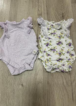 Красивые бодики