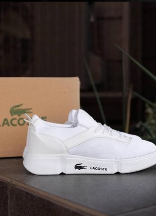 Lacoste white