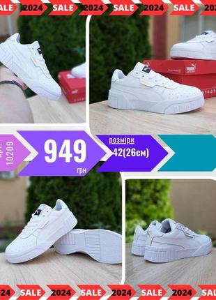 Puma cali  ods10209