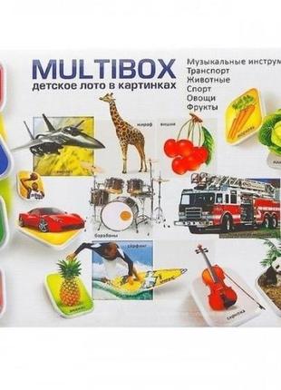 Лото multibox danko toys