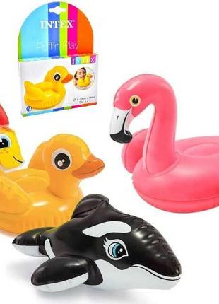 Intex іграшки 58590 np (36) надувні, 4 види (косатка, фламінго, риба, качечка), від 2-х років