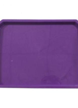 Поднос для кухни пластиковый (фиолетовый)