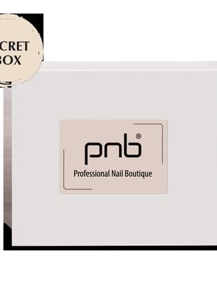 Secret box pnb