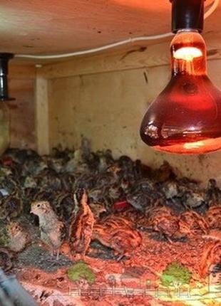 Инфракрасная лампа икзк 150 ватт r95 е27 220 в