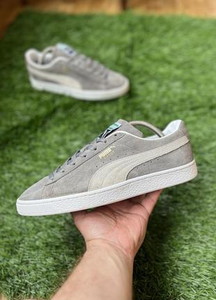 Мужские кроссовки puma suede