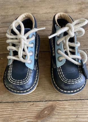 Сапоги кожа 3