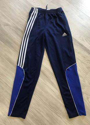 Штани adidas climalite