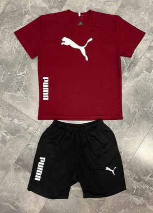 Мужской спортивный комплект шорты футболка puma