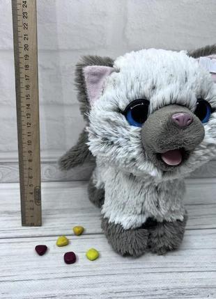 Інтерактивна кішка котик hasbro кот fur real