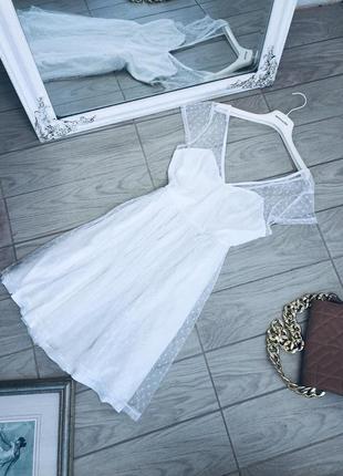 Сукня дорогого бренда chiara forti milano всі розміри в наявності6 фото