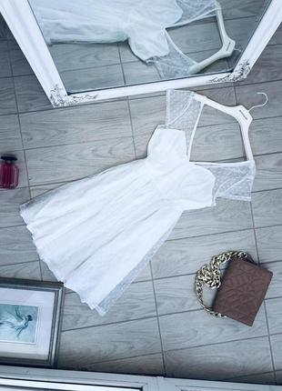 Сукня дорогого бренда chiara forti milano всі розміри в наявності3 фото