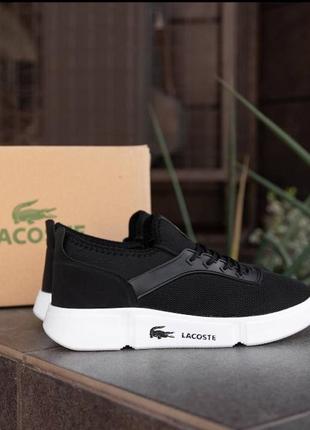 Lacoste black white