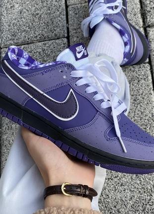 Nike sb dunk purple 36 38